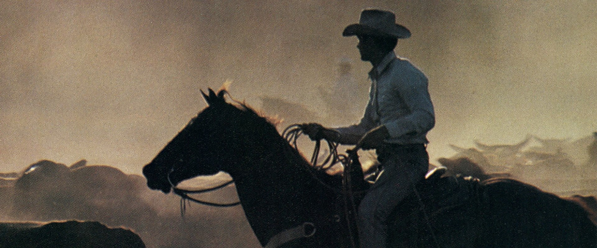 Maintaining the Legacy: How the Veteran Cavalry in Bronx, New York Keeps Their Equipment and Horses in Top Shape